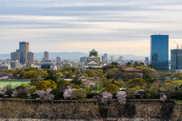 Fototapeta na wymiar Osaka castle with cherry blossom and Osaka center business dictrick in background atOsaka, Japan. Japan spring beautiful scene.
