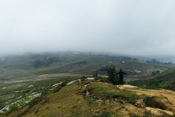 Fototapeta premium Fog covers fields of rice in Vietnam