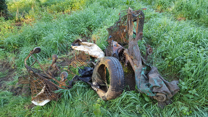 Rubbish Dump wild in nature