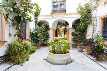 Fototapeta na wymiar Typical Andalusian patio with fountain and plants
