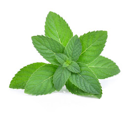 Fresh mint leaves isolated on white