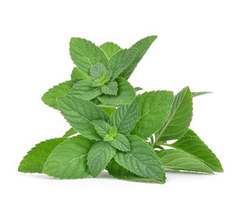 Fresh mint leaves isolated on white