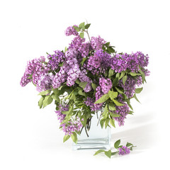 Lilac bouquet in a glass jar on a white background