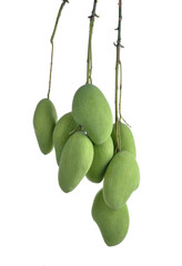 Green mango isolated on white