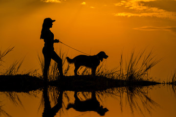 a girl is sitting outside in the grass, lovingly shaking hands with her German Shepherd dog, silhouetted against the sunsetting sky.