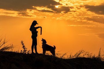 a girl is sitting outside in the grass, lovingly shaking hands with her German Shepherd dog, silhouetted against the sunsetting sky.