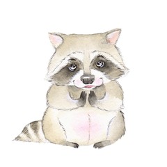 Cute small raccoon. Watercolor illustration, isolated on white