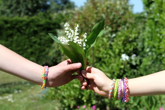 669 Best Premier Mai Images Stock Photos Vectors Adobe Stock