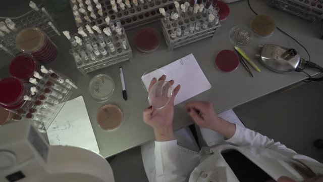 Crane shot, tilt up from glassware at the table close up to high angle view  during laboratory technician performs bacteriological analysis from different samples, microbiology analysis, indoors.