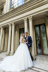 Tall groom and bride in magnificent dress pose before the columns