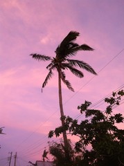 Pinker Himmel ohne Filter