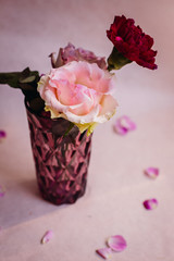 Violet petals lie around glass with rose buds and pinks