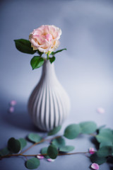 Dark green branch lies before white porcelain vase with rose