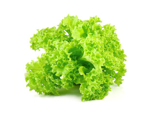 Fototapeta premium green oak lettuce on white background