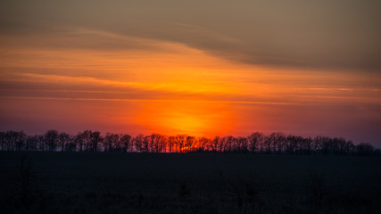 amazing sunset in the steppe