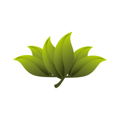 leafs plant decorative icon vector illustration design