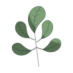 leafs plant decorative icon vector illustration design
