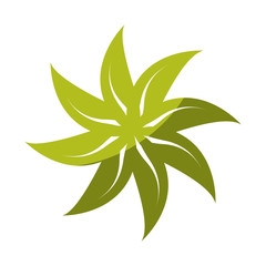 leafs plant decorative icon vector illustration design