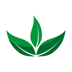 leafs plant decorative icon vector illustration design
