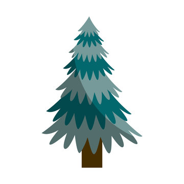 pine tree plant icon vector illustration design