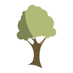 natural tree plant icon vector illustration design