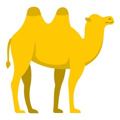 Yellow camel icon isolated