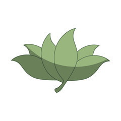 leafs plant decorative icon vector illustration design