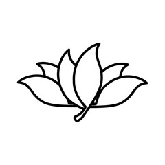 leafs plant decorative icon vector illustration design