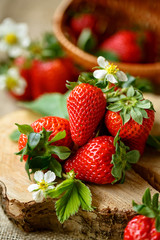 red healthy strawberries in the spring.
