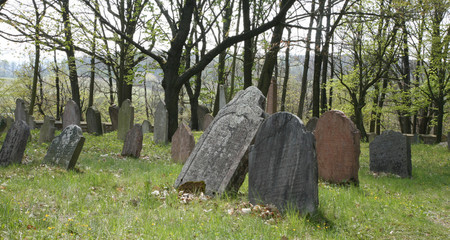 old jewish cemetery