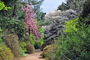 Forstbotanischer Garten K&ouml;ln
