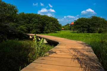 Wetland Park