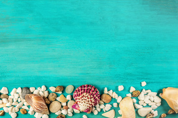 Obraz na płótnie Canvas Shells and pebbles on turquoise background with copyspace