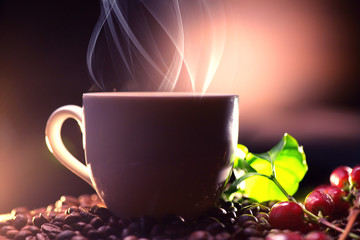 Coffee. Cup of hot coffee closeup and real coffee beans