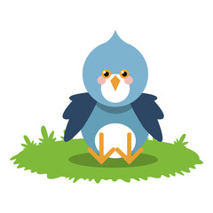 Bird cartoon icon. Animal cute adorable and creature theme. Isolated design. Vector illustration