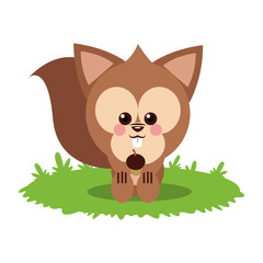 Squirrel cartoon icon. Animal cute adorable and creature theme. Isolated design. Vector illustration