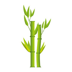 bamboo branch isolated icon vector illustration design
