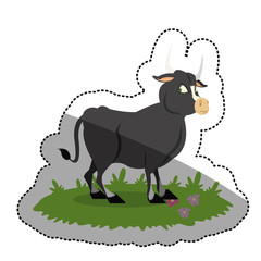 Bull cartoon icon. Animal cute adorable and creature theme. Isolated design. Vector illustration