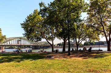 Landschaft an der Rheinpromenade vor der Deutzer Brücke in Köln