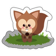 Squirrel cartoon icon. Animal cute adorable and creature theme. Isolated design. Vector illustration