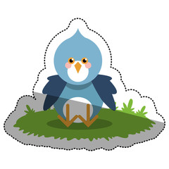 Bird cartoon icon. Animal cute adorable and creature theme. Isolated design. Vector illustration