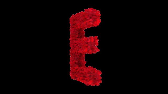 3D letter E made of red roses appearing and seamless turning with alpha channel