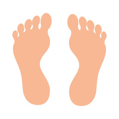 human foot plant icon vector illustration design