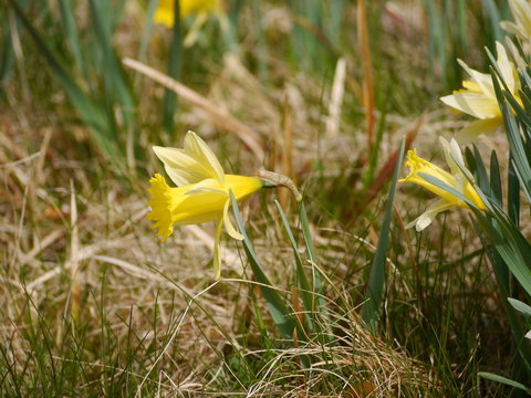 Eifel Perlenbachtal 7