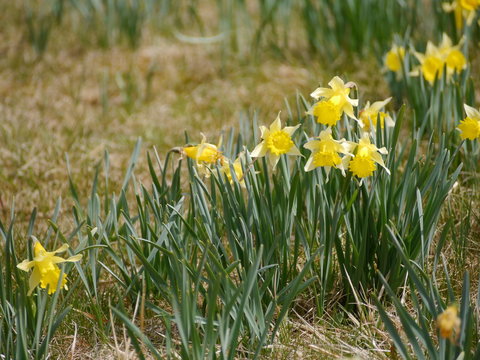 Eifel Perlenbachtal 8