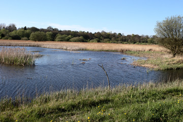 Stodmarsh National Nature Reserve