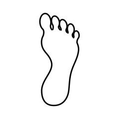human foot plant icon vector illustration design
