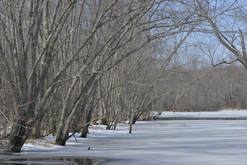 Frozen River, New England