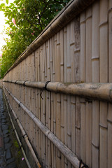 bamboo wall