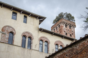 Fototapeta na wymiar Lucca, Torre Guinigi e dintorni.